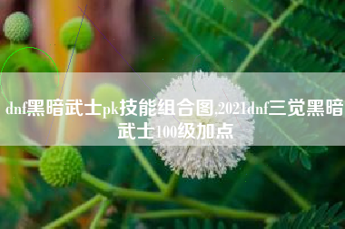dnf黑暗武士pk技能组合图,2021dnf三觉黑暗武士100级加点