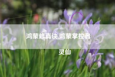 鸿蒙修真诀,鸿蒙掌控者
灵仙 鸿蒙修真诀,鸿蒙掌控者
灵仙