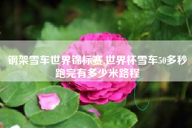 钢架雪车世界锦标赛,世界杯雪车50多秒跑完有多少米路程