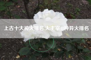 上古十大神火排名,大主宰48种异火排名