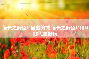 信长之野望13最富的城,信长之野望12和13哪代更好玩