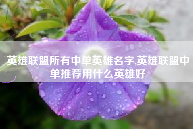 英雄联盟所有中单英雄名字,英雄联盟中单推荐用什么英雄好