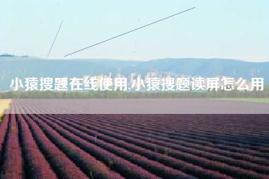 小猿搜题在线使用,小猿搜题读屏怎么用