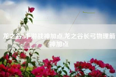 龙之谷2手游战神加点,龙之谷长弓物理箭神加点