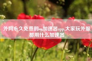 外网永久免费的vp加速器app,大家玩外服都用什么加速器