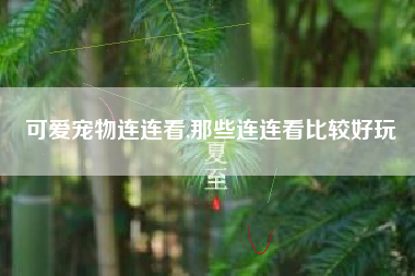 可爱宠物连连看,那些连连看比较好玩