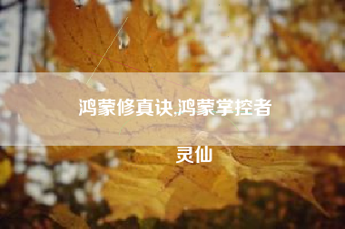 鸿蒙修真诀,鸿蒙掌控者
灵仙 鸿蒙修真诀,鸿蒙掌控者
灵仙