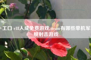 工口 r18人成免费游戏,steam有哪些单机军舰射击游戏