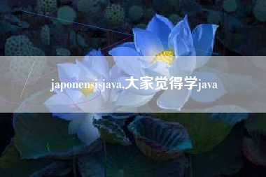japonensisjava,大家觉得学java