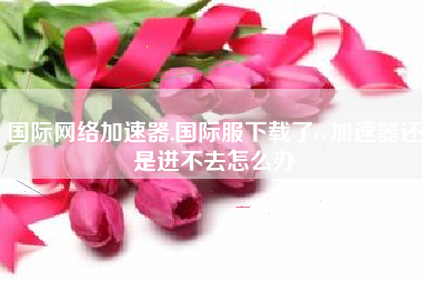 国际网络加速器,国际服下载了cc加速器还是进不去怎么办