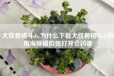 大怪兽格斗dx,为什么下载大怪兽格斗dx后用海豚模拟器打开会闪退