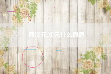 阅次元,次元什么意思