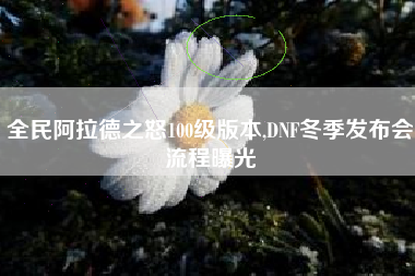 全民阿拉德之怒100级版本,DNF冬季发布会流程曝光