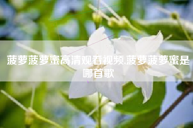 菠萝菠萝蜜高清观看视频,菠萝菠萝蜜是哪首歌