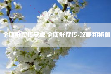 金庸群侠传安卓,金庸群侠传x攻略和秘籍