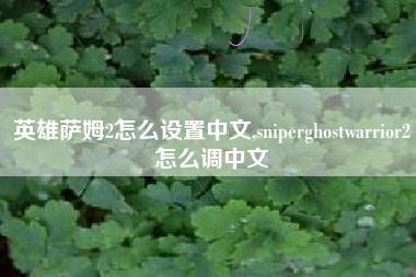 英雄萨姆2怎么设置中文,sniperghostwarrior2怎么调中文