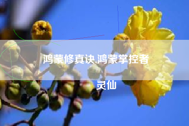 鸿蒙修真诀,鸿蒙掌控者
灵仙 鸿蒙修真诀,鸿蒙掌控者
灵仙