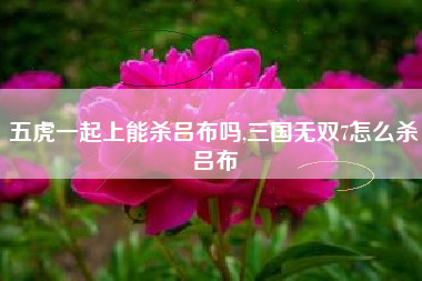 五虎一起上能杀吕布吗,三国无双7怎么杀吕布