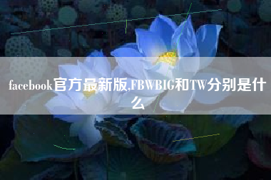facebook官方最新版,FBWBIG和TW分别是什么