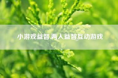 小游戏益智,两人益智互动游戏