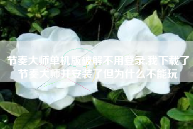 节奏大师单机版破解不用登录,我下载了节奏大师并安装了但为什么不能玩