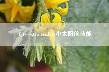 fate extra ccc,fate小太阳的技能