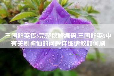 三国群英传5完整秘籍编码,三国群英5中有关刷神仙的问题详细请教如何刷