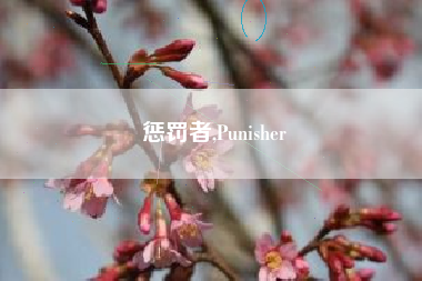 惩罚者,Punisher