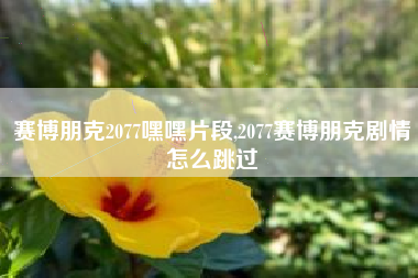 赛博朋克2077嘿嘿片段,2077赛博朋克剧情怎么跳过