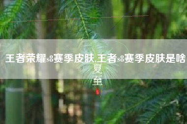 王者荣耀s8赛季皮肤,王者s8赛季皮肤是啥