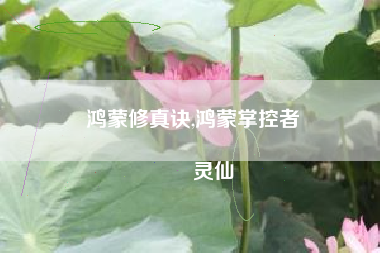 鸿蒙修真诀,鸿蒙掌控者
灵仙 鸿蒙修真诀,鸿蒙掌控者
灵仙