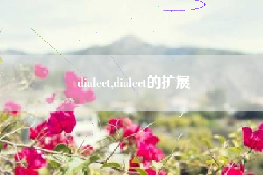 dialect,dialect的扩展