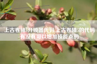 上古卷轴5开锁器代码,上古卷轴5的代码有没有可以增加技能点的