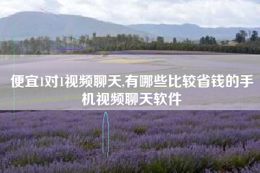 便宜1对1视频聊天,有哪些比较省钱的手机视频聊天软件