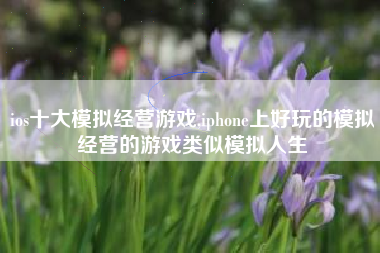 ios十大模拟经营游戏,iphone上好玩的模拟经营的游戏类似模拟人生