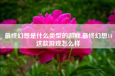 最终幻想是什么类型的游戏,最终幻想14这款游戏怎么样
