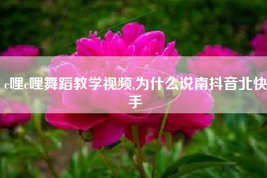 c哩c哩舞蹈教学视频,为什么说南抖音北快手