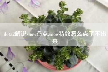 dota2解说snow凸点,snow特效怎么点了不出来