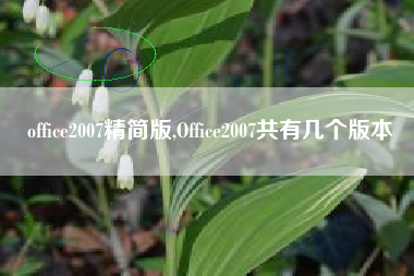 office2007精简版,Office2007共有几个版本