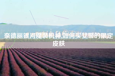 奈德丽银河魔装机神,如何买女警的限定皮肤