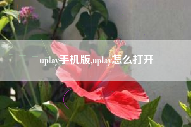 uplay手机版,uplay怎么打开