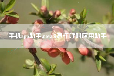 手机app助手,nova3i怎样呼叫应用助手