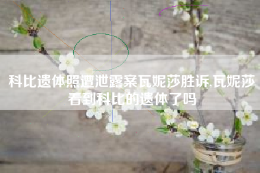 科比遗体照遭泄露案瓦妮莎胜诉,瓦妮莎看到科比的遗体了吗