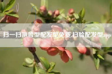 扫一扫测脸型配发型免费,扫脸配发型app