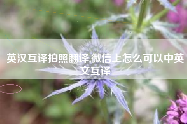英汉互译拍照翻译,微信上怎么可以中英文互译