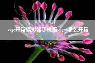 csgo开箱模拟器手机版,csgo2怎么开箱