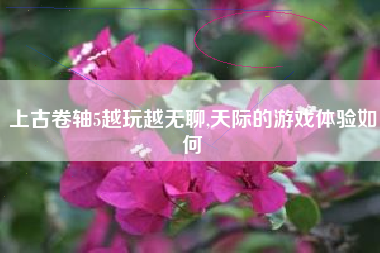 上古卷轴5越玩越无聊,天际的游戏体验如何