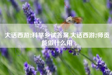 大话西游2科举乡试答案,大话西游2师贡能做什么用