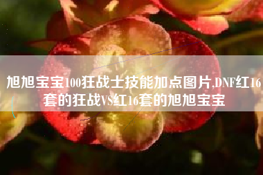 旭旭宝宝100狂战士技能加点图片,DNF红16套的狂战VS红16套的旭旭宝宝