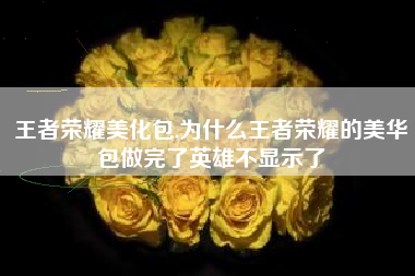 王者荣耀美化包,为什么王者荣耀的美华包做完了英雄不显示了